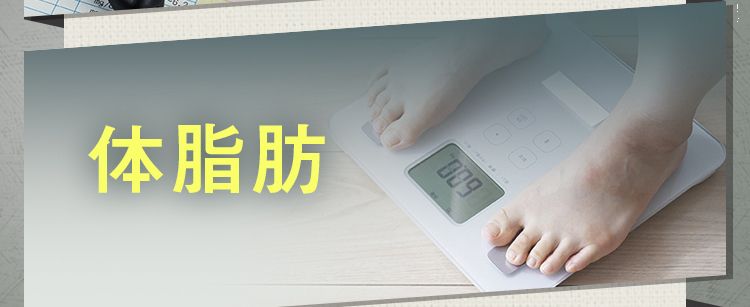 体脂肪