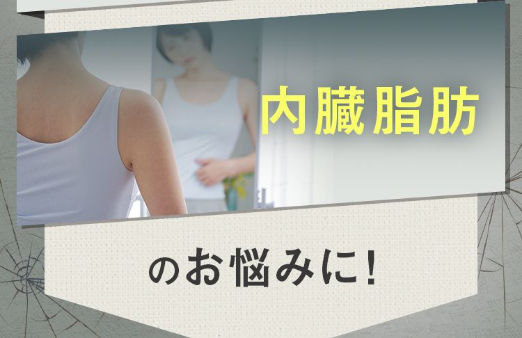 内臓脂肪のお悩みに!