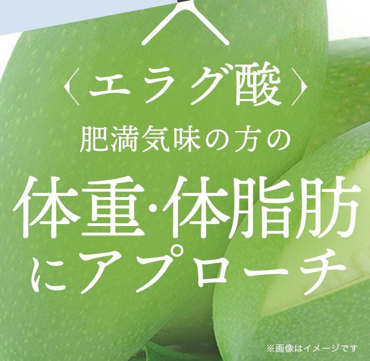 エラグ酸 肥満気味の方の体重・体脂肪にアプローチ