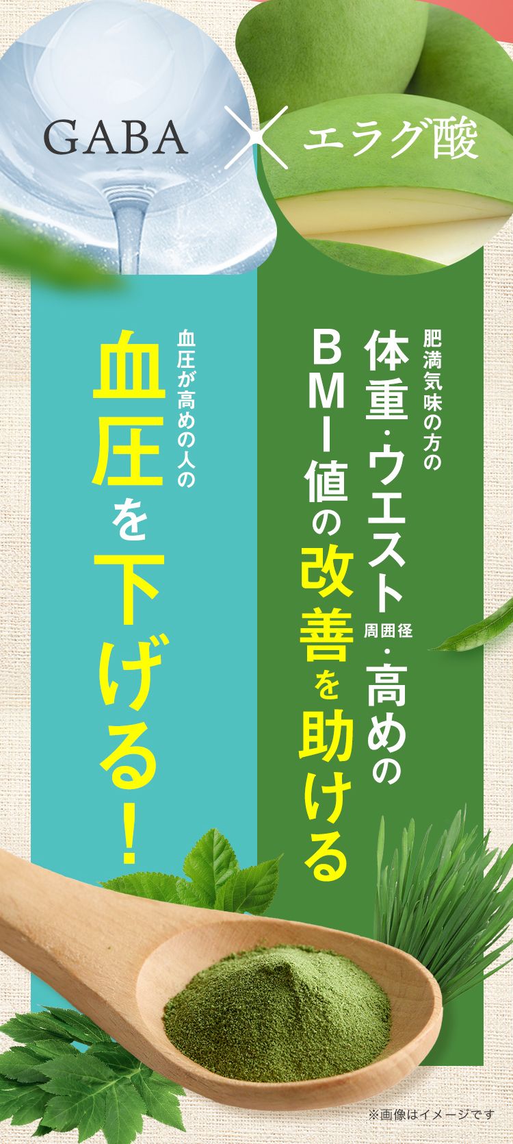 GABA 血圧が高めの人の 血圧を下げる エラグ酸 肥満気味の方の体重・ウエスト周囲径・高めのBMI値の改善を助ける
